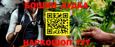 индика Нальчик