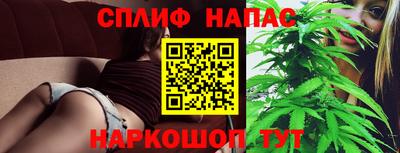 индика Нальчик