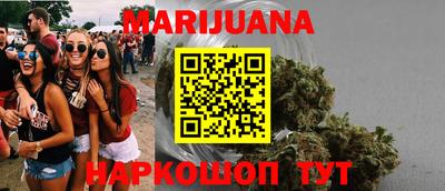 индика Нальчик