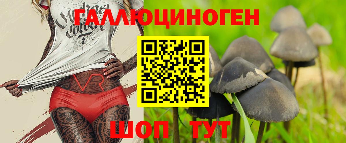 Псилоцибиновые грибы GOLDEN TEACHER Тула