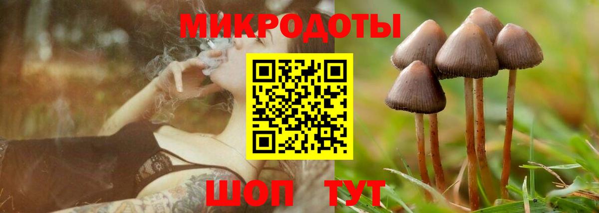 Тула  Псилоцибиновые грибы ЛСД  купить наркотик  Вход с VPN 